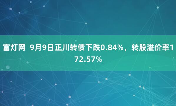 富灯网  9月9日正川转债下跌0.84%，转股溢价率172.57%
