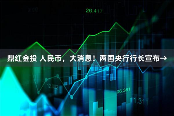 鼎红金投 人民币，大消息！两国央行行长宣布→