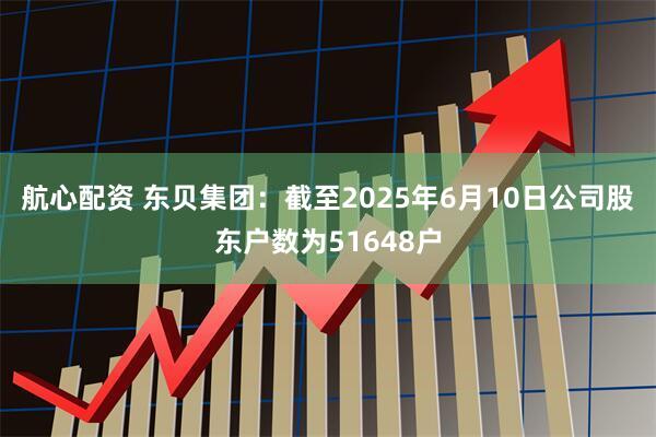 航心配资 东贝集团：截至2025年6月10日公司股东户数为51648户