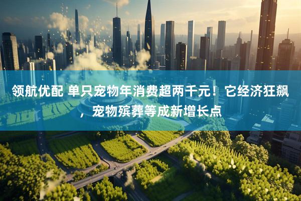 领航优配 单只宠物年消费超两千元！它经济狂飙，宠物殡葬等成新增长点