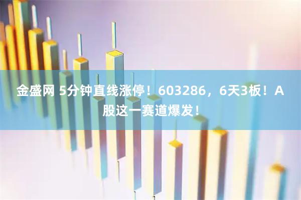 金盛网 5分钟直线涨停！603286，6天3板！A股这一赛道爆发！