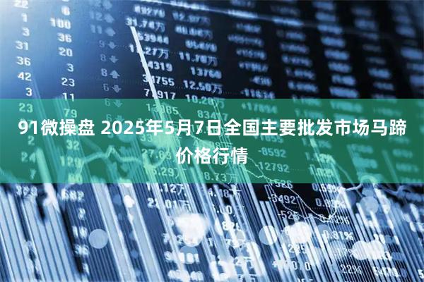 91微操盘 2025年5月7日全国主要批发市场马蹄价格行情