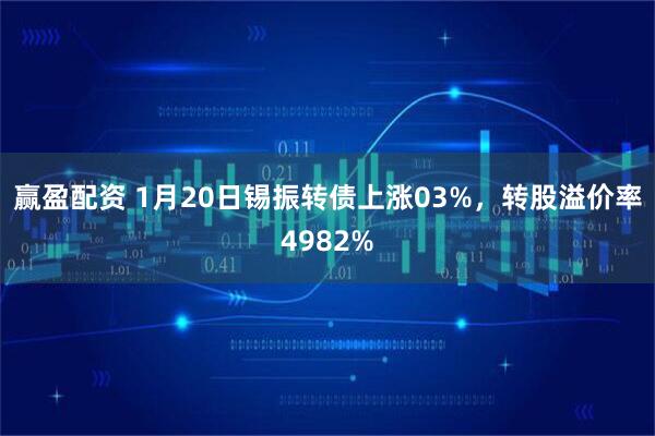 赢盈配资 1月20日锡振转债上涨03%，转股溢价率4982%