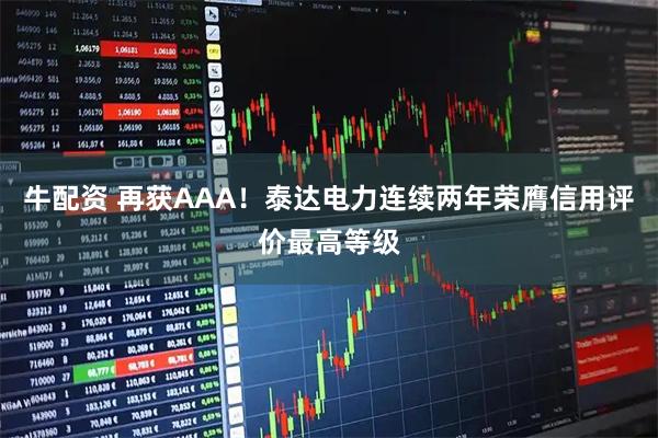 牛配资 再获AAA！泰达电力连续两年荣膺信用评价最高等级