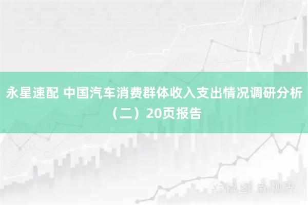 永星速配 中国汽车消费群体收入支出情况调研分析（二）20页报告
