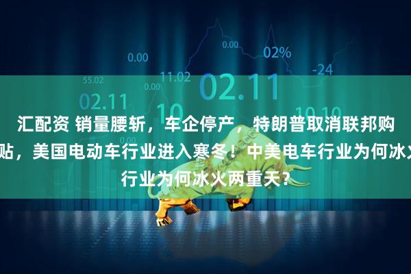 汇配资 销量腰斩，车企停产，特朗普取消联邦购车退税补贴，美国电动车行业进入寒冬！中美电车行业为何冰火两重天？