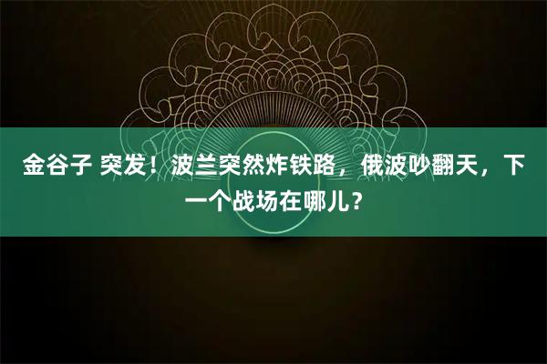 金谷子 突发！波兰突然炸铁路，俄波吵翻天，下一个战场在哪儿？