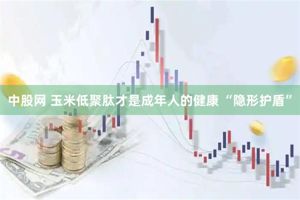 中股网 玉米低聚肽才是成年人的健康 “隐形护盾”