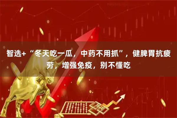 智选+ “冬天吃一瓜，中药不用抓”，健脾胃抗疲劳，增强免疫，别不懂吃