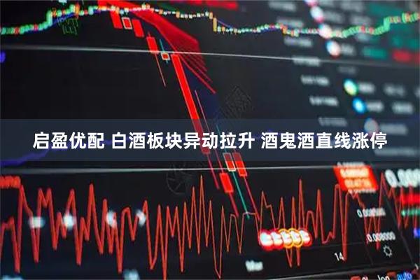 启盈优配 白酒板块异动拉升 酒鬼酒直线涨停